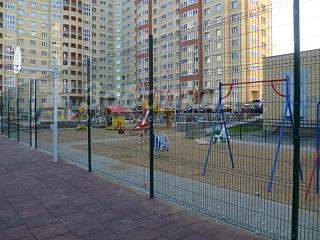 Портфолио