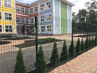 Из 3Д сетки
